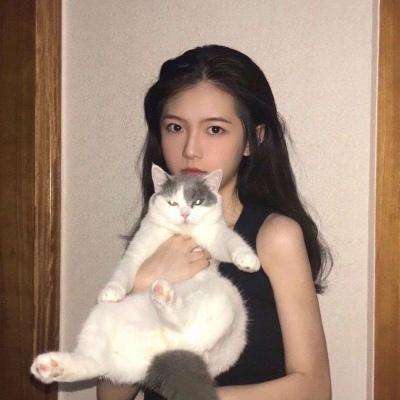 侠义英雄手游下载